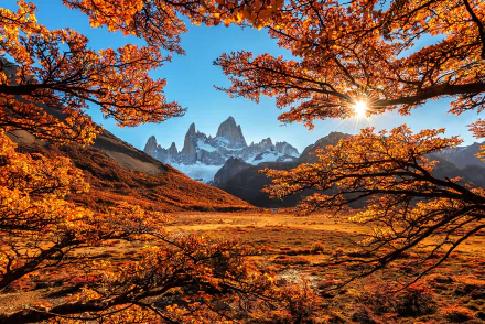 HD desktop wallpaper of a stunning fall landscape with vibrant orange foliage framing a majestic mountain scene under a clear blue sky.