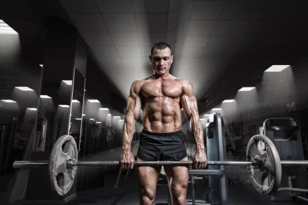 muscle weightlifting Sports HD Desktop Wallpaper | Background Image