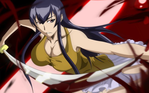 Anime Highschool Of The Dead Saeko Busujima HD Wallpaper | Background Image