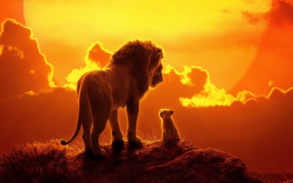 Movie The Lion King (2019) Simba Mufasa HD Wallpaper | Background Image