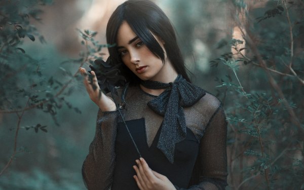 Women Model Black Hair Black Dress Black Rose HD Wallpaper | Background Image