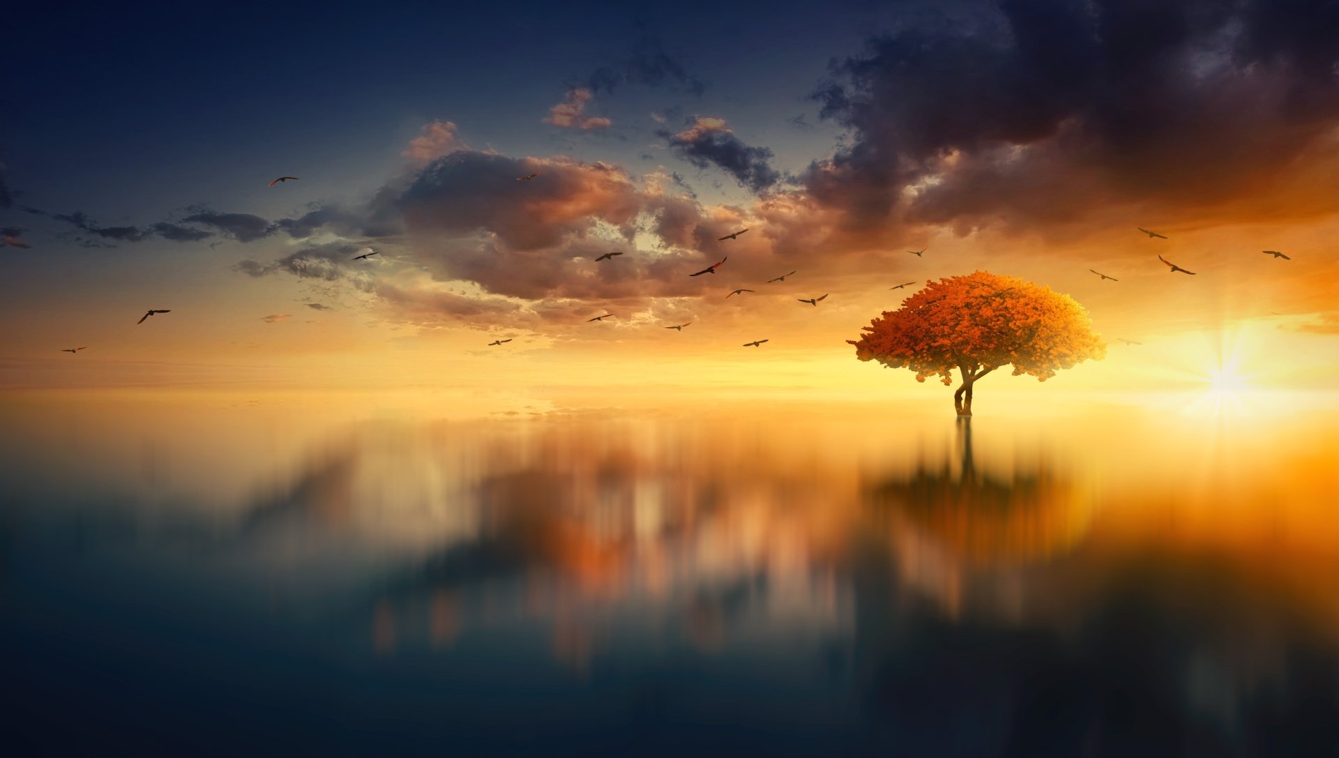 A vibrant tree stands alone by a tranquil lake at sunset, captured in stunning 4K Ultra HD, blending nature’s beauty with a serene, colorful sky.