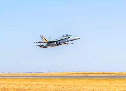 McDonnell Douglas F/A-18 Hornet jet fighter aircraft flying low over a dry landscape against a clear blue sky in 4K Ultra HD.